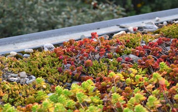 the cost of Abune The Hill green roof installation