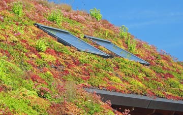 Abune The Hill living roof systems